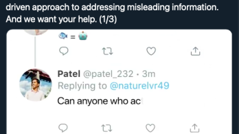 Tuit-birdwatch-twitter-1.png