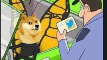 Twitter-cambio-de-logo-¿por-que-hay-un-perro-en-lugar-del-pajaro-azul.jpg