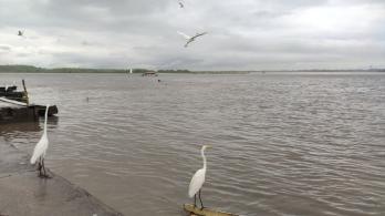 alerta-naranja-barrancabermeja.jpg