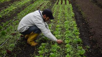 campesino-bogota-rural-3.jpg