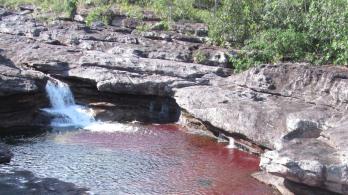 cano-cristales-Cortesia-Parques-Nacionales.jpg