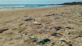 contaminacion-playa.jpg