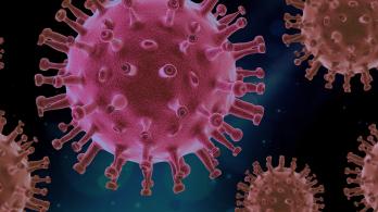 coronavirus-periodista-China.jpg