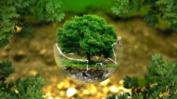 cursos-gratuitos-medio-ambiente.jpg