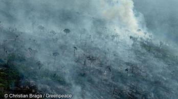 deforestacion-amazonia-Colprensa.jpg