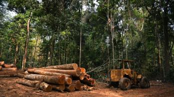deforestacion-amazonia-brasil.jpg