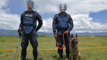 desminado-humanitario.jpg
