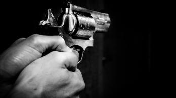 gun-g339ecd8bb_1920.jpg
