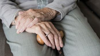 hand-3666974_1280-1.jpg