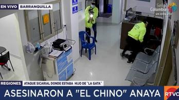 hijo-de-la-gata.jpg