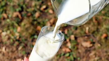 leche-Antioquia.jpg