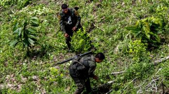 policias-agredidos-erradicacion-cordoba.jpg