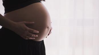 pregnant-1245703_1920.jpg