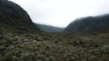 proyectos-ambientales.jpg