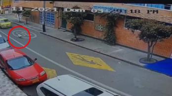 taxista-tropella-perro-bogota.jpg