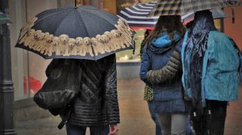 umbrella-4683198_1280.jpg