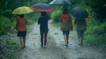 umbrella-4812679_1280.jpg
