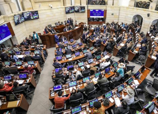 Instalación del Congreso 2025. / Foto: AFP.