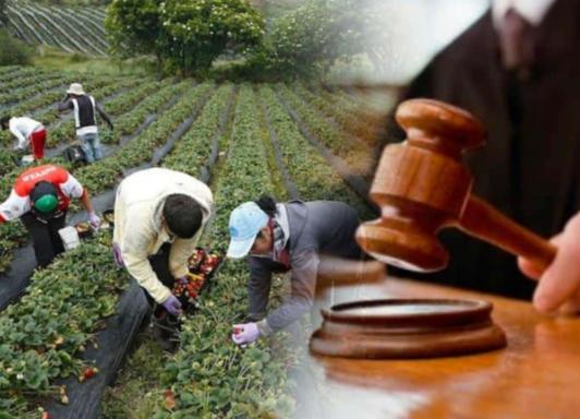 Jurisdicción agraria. / Foto: Senado.