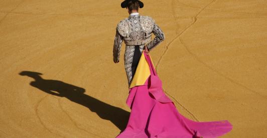 Reacciones prohibición de corridas de toros.