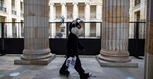 Corridas de toros en Colombia.