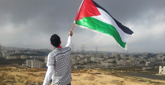 Joven ondea la bandera palestina. 