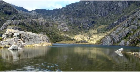 ¡Páramos, a salvo! Colombia gana otro litigio en Santurbán contra minera canadiense