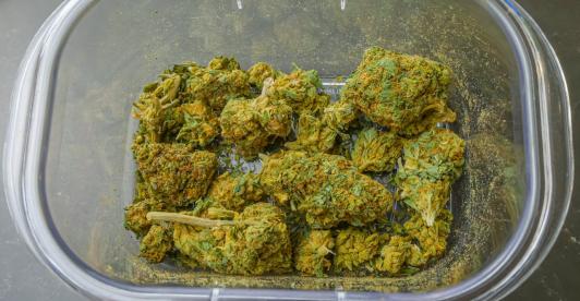 Brasil despenaliza la posesión de marihuana; ¿a cuánto equivale 40 gramos?