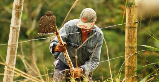 Pobreza monetaria en zonas rurales se redujo en un 4,7%, un avance significativo en Colombia