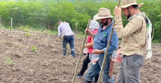 Movilización campesina 20 de julio por la reforma agraria. / Foto: X Agenda Nacional Campesina.