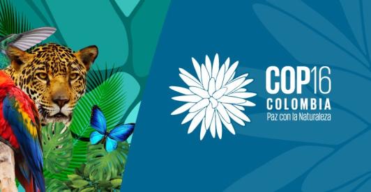 COP 16