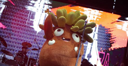 Frailejón Ernesto Pérez