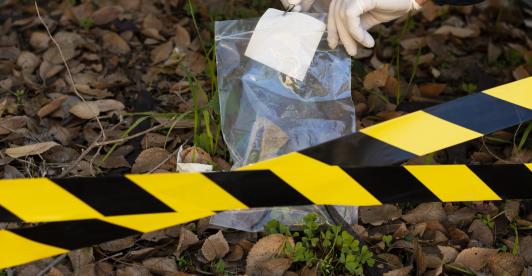 5 hombres asesinados en Puerto Rico, Caquetá
