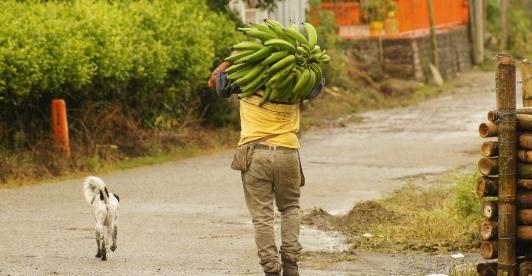 Gobierno radica proyecto de 'Jurisdicción Agraria' que establece una justicia especial para el campo colombiano