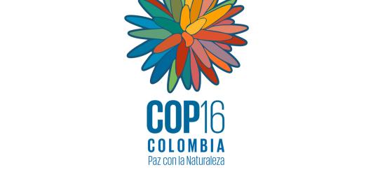 COP 16