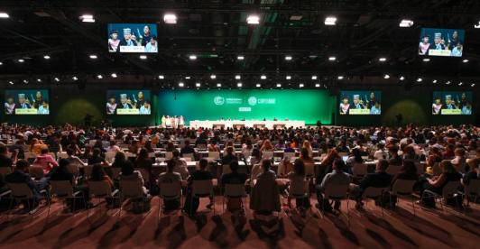 Senado aprueba proyecto de ley que exime del IVA a la COP16 en Cali