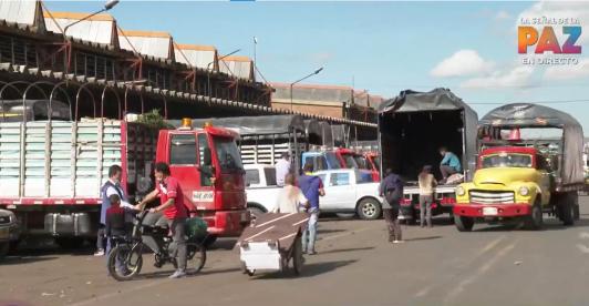 Pequeños transportadores
