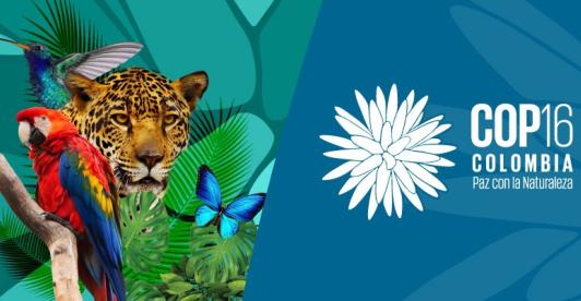 Colombia promociona la COP16 en Londres