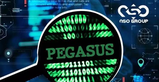 Software Pegasus