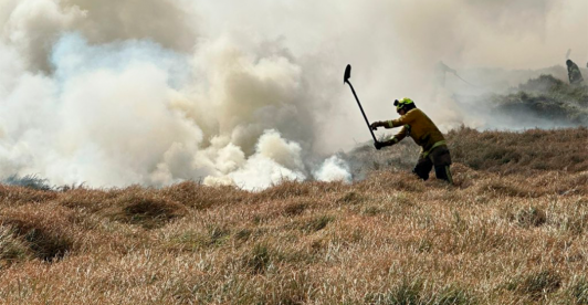 Emergencia en Bogotá: bomberos atienden simultaneamente 7 incendios forestales