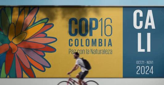 ¿Qué es la COP16 y cuál es la importancia de su realización en Colombia?