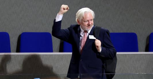 Julian Assange ante el Consejo de Europa