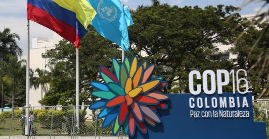 Cop16 y la capacidad hotelera en Cali. / Foto: Alcaldía de Cali.