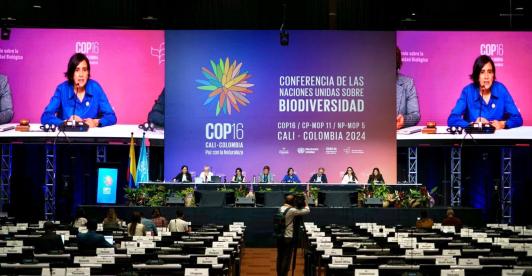 El New York Times destaca que la COP16 en Colombia podría ser la mejor en la historia de estos eventos