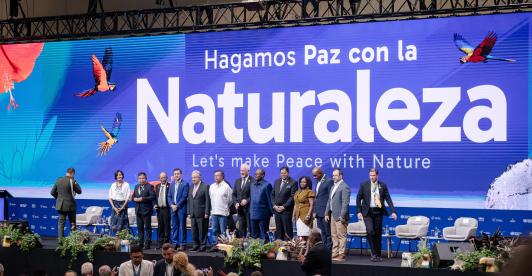 COP16: Colombia lidera el movimiento global 'Paz con la Naturaleza'