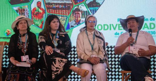 Mujeres rurales en la COP16. / Foto: RTVC.