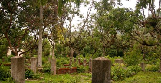 Plasa San Cayetano