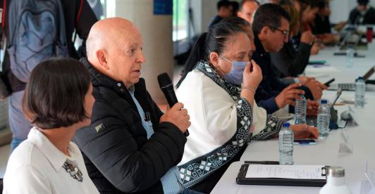 Otty Patiño, Alto Comisionado de Paz