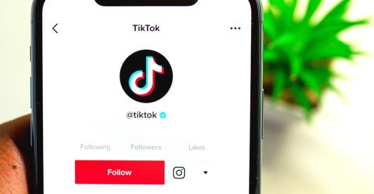 Canadá bloquea la aplicación Tiktok. / Foto: Pixabay.