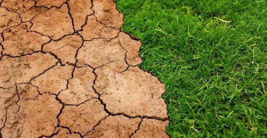 Temperatura del planeta superó en 1,54º el nivel de referencia en los primeros 9 meses del año